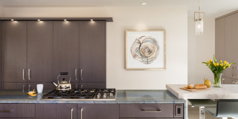 Contemporary Kitchen Remodel by Nehemiah General Contractors — Project 2 project photo 2